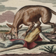 Illustration for article titled The Greatest Werewolf Art Of The Middle Ages And Renaissance